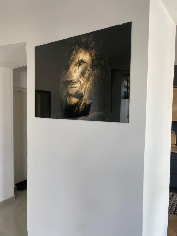 Apartament W Centrum Przy Studni 102M2 Apartment Chełm Екстериор снимка