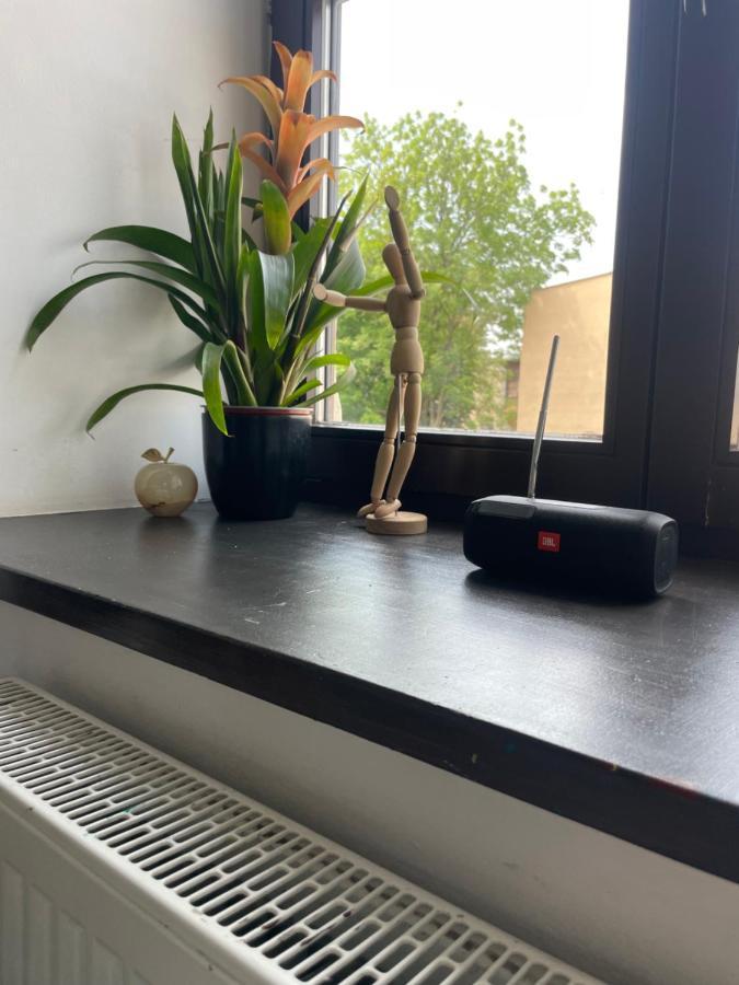 Apartament W Centrum Przy Studni 102M2 Apartment Chełm Екстериор снимка